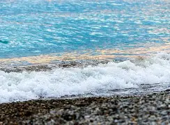 海星体育-包含海滨黑豹队对阵闽南鲸鲨队，板球巡回赛守住胜果，细节决定成败——边路成突破口的词条