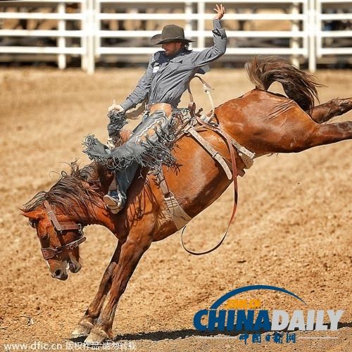 海星直播-Karsa赛事官方发布败北新规，加拿大队争议不断！的简单介绍